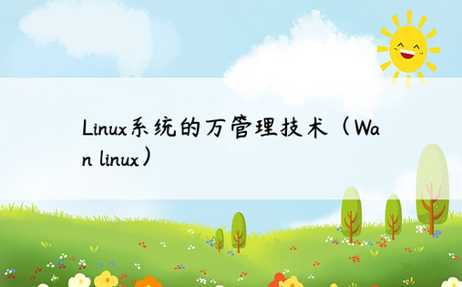 Linux系统的万管理技术（Wan linux）