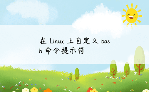 在 Linux 上自定义 bash 命令提示符 