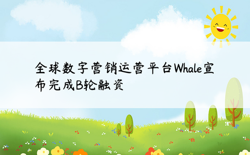 全球数字营销运营平台Whale宣布完成B轮融资