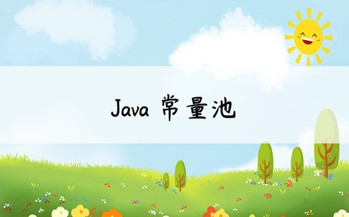 
Java 常量池