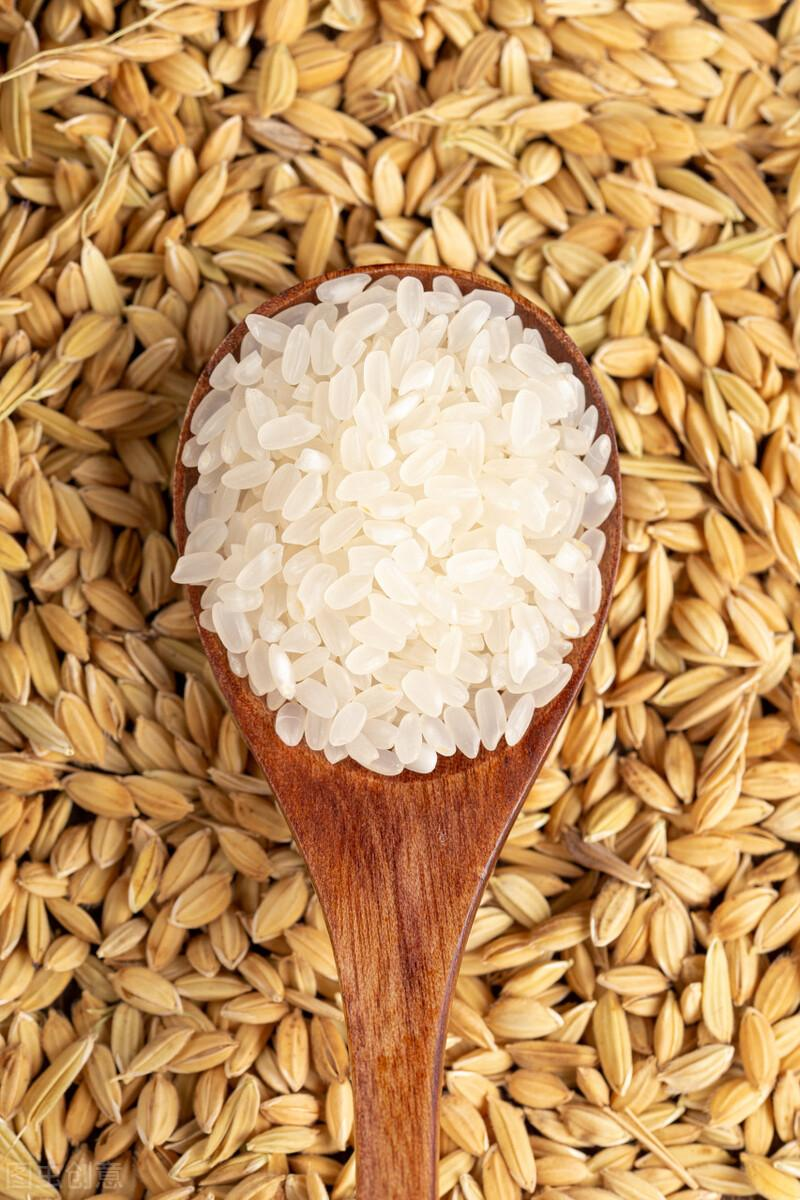 米是怎么来的（我国大米的起源以及种植技术发展情况）