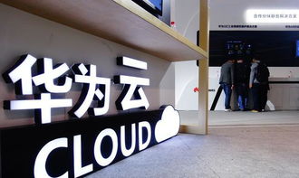 中国的云服务提供商名字