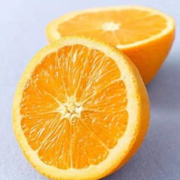 橙子教育技术官网
