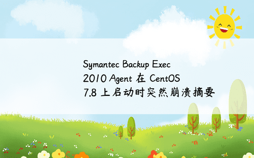 Symantec Backup Exec 2010 Agent 在 CentOS 7.8 上启动时突然崩溃摘要