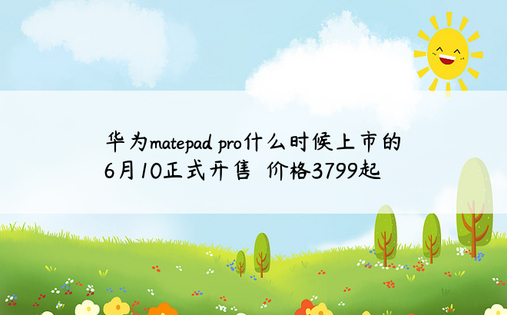 华为matepad pro什么时候上市的 6月10正式开售  价格3799起