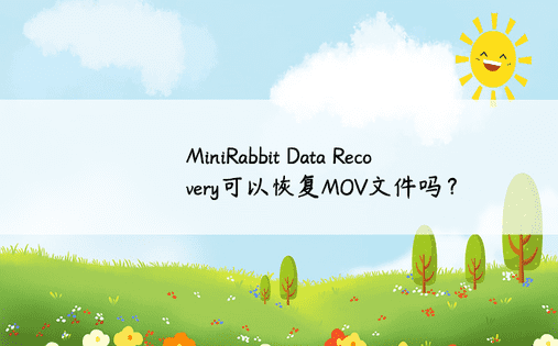 MiniRabbit Data Recovery可以恢复MOV文件吗？ 