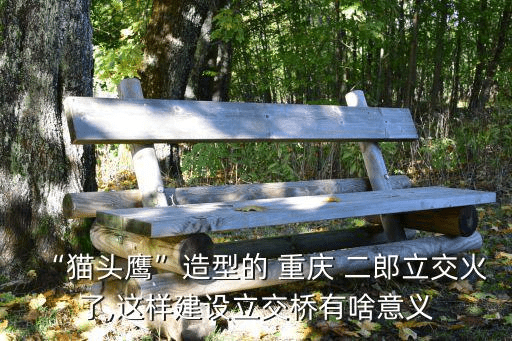 重庆二郎，你对重庆二郎立交桥的猫头鹰造型了解多少？ 
