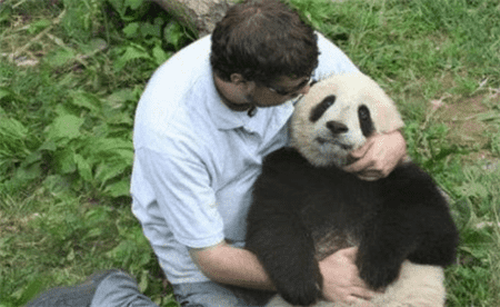 ​躺着和熊猫宝宝对视是一种什么样的感受？