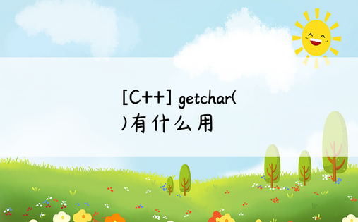 [C++] getchar()有什么用