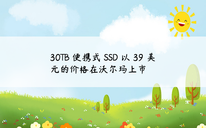 30TB 便携式 SSD 以 39 美元的价格在沃尔玛上市